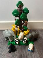 Duplo speelgoed Zoo en Race collectie curver bak vol, Enfants & Bébés, Jouets | Duplo & Lego, Enlèvement, Utilisé, Briques en vrac