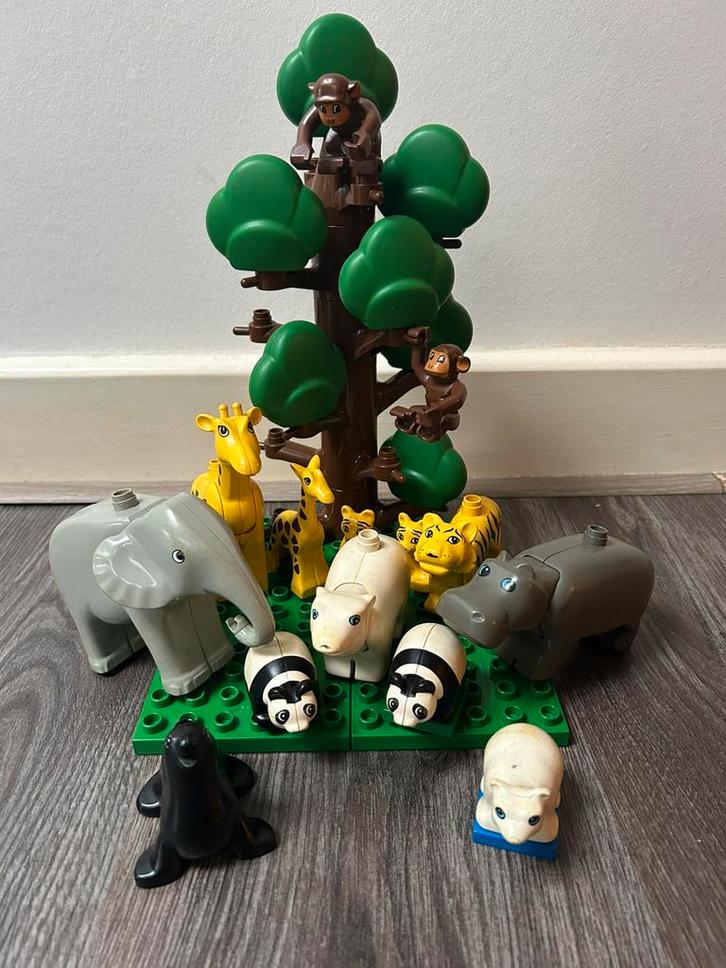 Duplo speelgoed Zoo en Race collectie curver bak vol, Enfants & Bébés, Jouets | Duplo & Lego, Utilisé, Duplo, Briques en vrac