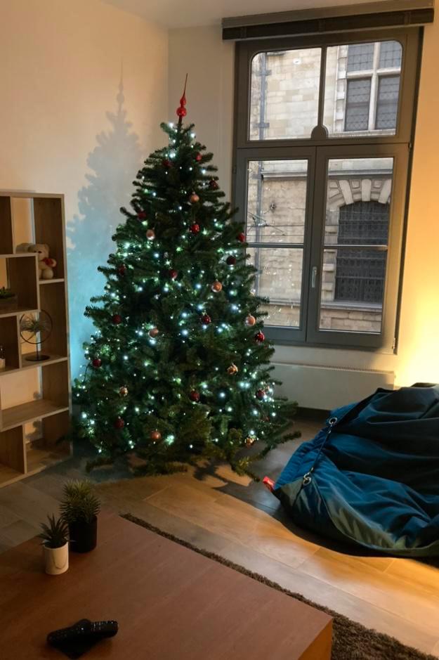 Kerstboom + verlichting + decoratie, Diversen, Kerst, Gebruikt, Ophalen