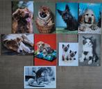 9 postkaarten/ wenskaarten: honden en katten, Verzamelen, Postkaarten | Dieren, Gelopen, Ophalen of Verzenden, Hond of Kat