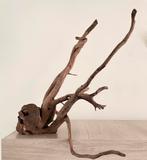 Branche racine aquarium/terrarium, Animaux & Accessoires, Enlèvement, Comme neuf