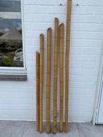 6 decoratieve bamboo stokken 4-6 diameter, Huis en Inrichting, Ophalen, Zo goed als nieuw