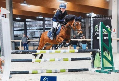 Fantastische B pony, Dieren en Toebehoren, Paarden, Ruin, B