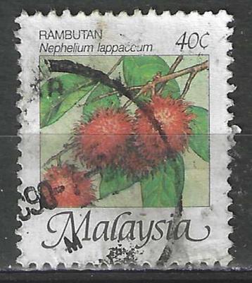 Maleisie 1986 - Yvert 343 - De ramboetan - 40 c. (ST) beschikbaar voor biedingen