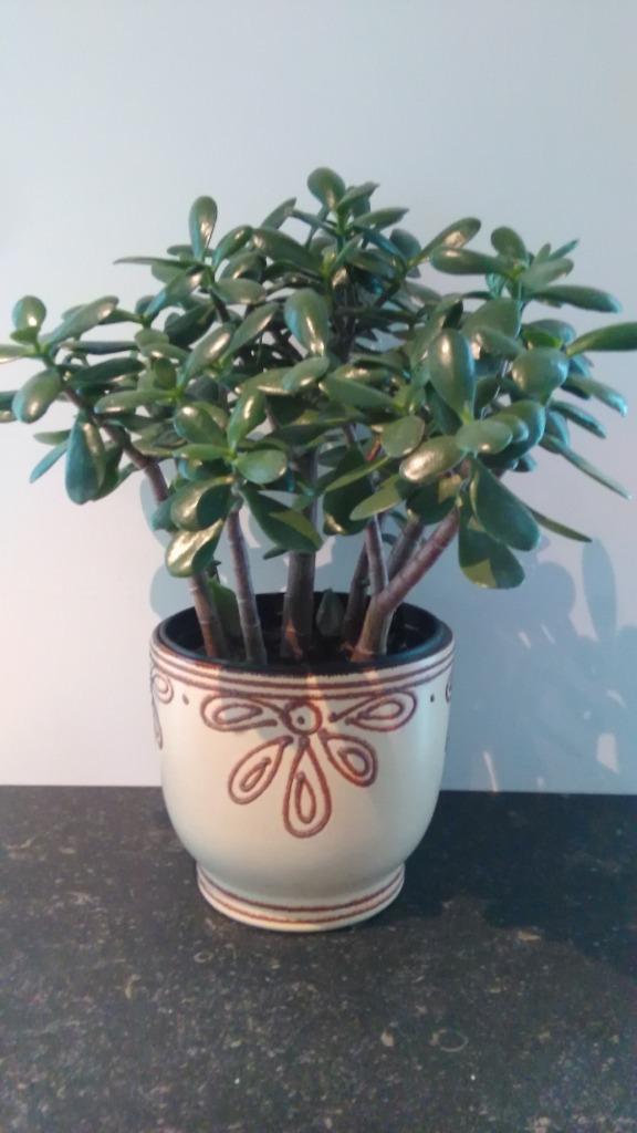 Set vintage bloempotten fat lava Heffen BPF keramiek ø 20cm, Tuin en Terras, Bloempotten, Binnen, Ophalen of Verzenden