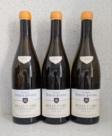 Rully 1er Cru "Meix Cadot Vieilles Vignes" Dureuil 2022 beschikbaar voor biedingen