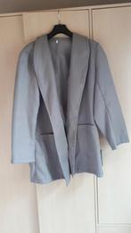 Lange mantel, Kleding | Dames, Ophalen, Zo goed als nieuw, Maat 38/40 (M), Grijs