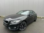 BMW 218D coupe, Auto's, 100 kW, https://public.car-pass.be/vhr/010f94ad-31a1-44a2-b97f-bd0a025146c8, 1995 cc, 4 cilinders