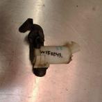 LAVE-GLACE POMPE AVANT Honda Insight (ZE2) (01-2009/02-2014), Autos : Pièces & Accessoires, Utilisé, Honda