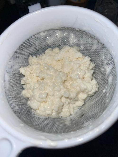 50gram Melk kefir korrels, Diversen, Levensmiddelen, Ophalen of Verzenden
