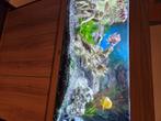 Aquarium Rio 180.  Ledlicht, binnen filter, vissen..., Dieren en Toebehoren, Ophalen, Zo goed als nieuw, Gevuld zoetwateraquarium