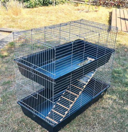 Kooi met 2 niveaus voor kleine knaagdieren (cavia's...), Dieren en Toebehoren, Knaagdieren en Konijnen | Hokken en Kooien, Gebruikt
