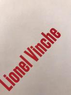 Lionel Vinche artistbook dessins 90pag, Ophalen of Verzenden, Zo goed als nieuw, Schilder- en Tekenkunst