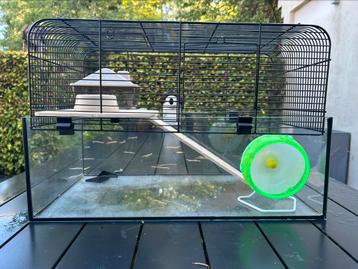 Hamsterkooi  beschikbaar voor biedingen