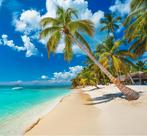 Partenaire de voyage