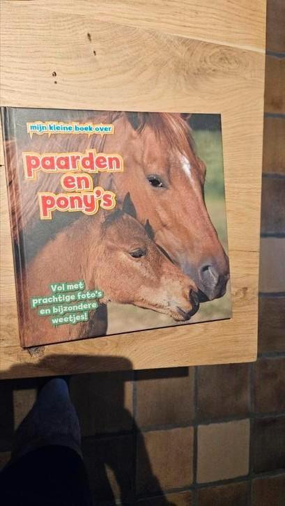 Camilla de la Bédoyère - Paarden en pony's, Boeken, Kinderboeken | Jeugd | onder 10 jaar, Zo goed als nieuw, Ophalen of Verzenden