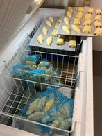 Diepvrieskist, Gebruikt, 200 liter of meer, 60 cm of meer, Energieklasse A of zuiniger