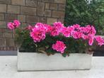 TRES PARTIQUES ET BELLES JARDINIÈRES POUR BALCONS, Ophalen, Gebruikt, Rechthoekig, Beton