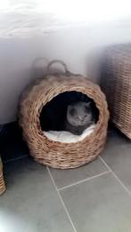 Kattenmand…, Enlèvement ou Envoi, Comme neuf