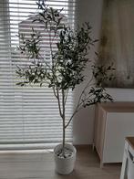 Kunsplant olijboom 185cm, Ophalen, Zo goed als nieuw
