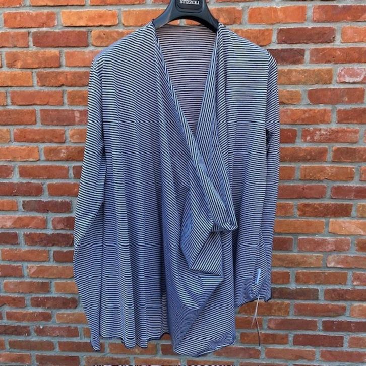 L/XL Top trui Maravandelli Sartoria Ismara tencel verschille, Kleding | Dames, Grote Maten, Nieuw, Blouse of Tuniek, Blauw, Ophalen of Verzenden