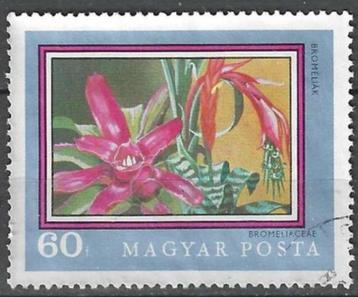 Hongarije 1971 - Yvert 2178 - Bromeliaceae (ST)