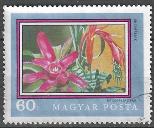 Hongarije 1971 - Yvert 2178 - Bromeliaceae (ST), Timbres & Monnaies, Timbres | Europe | Hongrie, Affranchi, Envoi