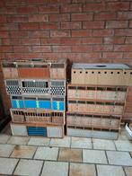 Duivenmanden, Dieren en Toebehoren