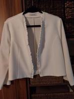 Nieuw vestje Batida maat 5 te dragen voor maat 40, Ophalen of Verzenden, Nieuw, Maat 38/40 (M)
