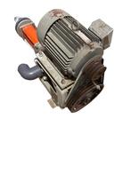 Elektromotor [581], Weidegang