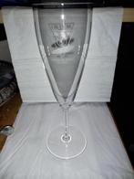 Champagneglas Val Saint Lambert Academie du Vin, Ophalen of Verzenden