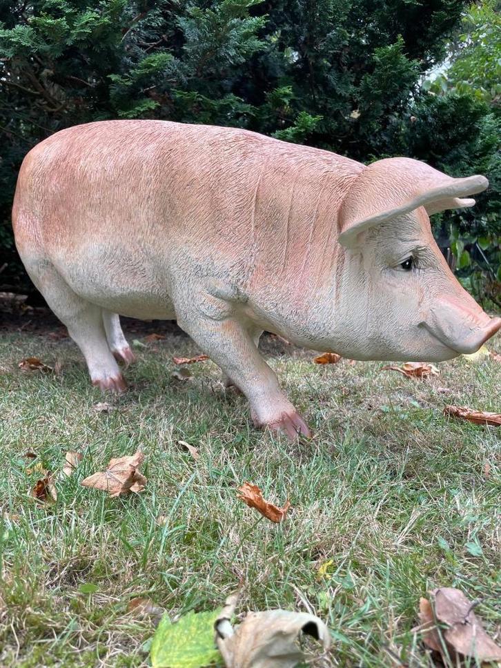 (Tuin)Beeld varken, tuin, gazon, manege, boerderij 85cm, Tuin en Terras, Tuinbeelden, Nieuw, Dierenbeeld, Kunststof, Ophalen