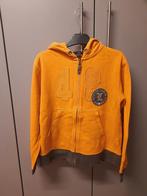 Hoodie H&M maat 140, Kinderen en Baby's, Gebruikt, Trui of Vest, Ophalen of Verzenden, H&m