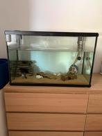 Aquarium 80x40x50 met buiten filter, Dieren en Toebehoren, Vissen | Aquaria en Toebehoren, Ophalen, Zo goed als nieuw