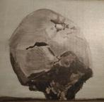 Luc Tuymans Apple, Antiek en Kunst, Kunst | Litho's en Zeefdrukken, Ophalen of Verzenden