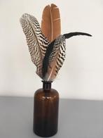 Fles/vaas met pauwenveren., Ophalen