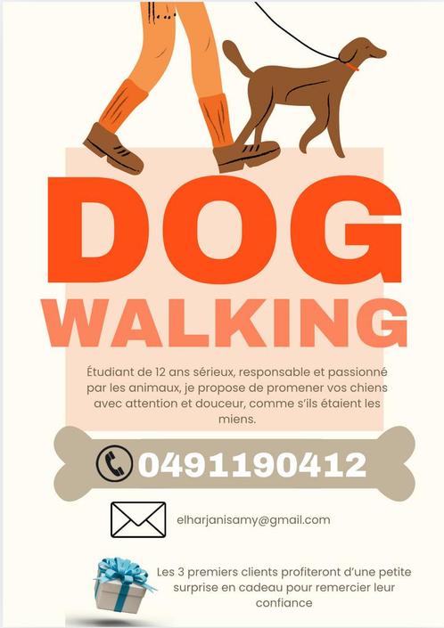 Promenade de chien à Braine-l’Alleud, Vacatures, Vacatures | Schoonmaak en Facilitaire diensten, Tijdelijk contract, Variabele uren