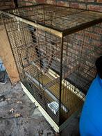 Gouden Papegaaienkooi vogelkooi parkietenkooi hok, Ophalen, Gebruikt, Metaal, Vogelkooi