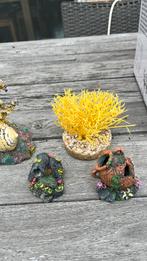 Aquarium decoratie, Ophalen of Verzenden, Zo goed als nieuw