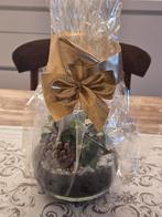 Kerst kadeau gekregen gisteren maar vertrek naar buitenland, Ophalen of Verzenden, Nieuw