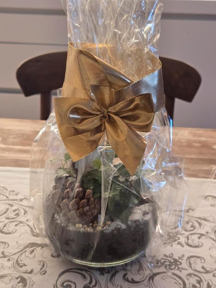 Kerst kadeau gekregen gisteren maar vertrek naar buitenland, Huis en Inrichting, Woonaccessoires | Droogbloemen, Nieuw, Ophalen of Verzenden