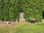 bloempotten grijs vorm conisch + buxus, Ophalen