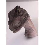Allo Saurus Head – Dinosaurus beeld Hoogte 71 cm, Ophalen, Nieuw