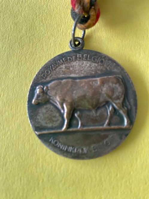 BRONZEN kunstmedaille gegraveerd door R. DEMEESTER -1975, Postzegels en Munten, Penningen en Medailles, Brons, Ophalen of Verzenden