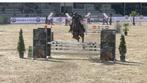 4 jarige merrie te koop, Dieren en Toebehoren, Merrie, Springpaard, B, Gechipt