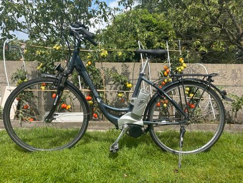 Elektrische fiets, Fietsen en Brommers, Elektrische fietsen, Ophalen