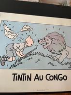Poster Kuifje in Afrika, Ophalen of Verzenden