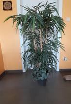 Plantes artificielles (bambous) 145 cm, Comme neuf, Intérieur, Enlèvement