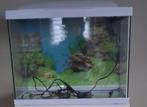 Aqarium te koop, Dieren en Toebehoren, Vissen | Aquaria en Toebehoren, Ophalen, Zo goed als nieuw, Overige typen