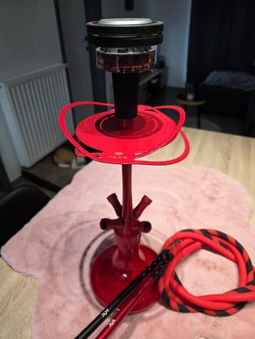 Chicha Tsar avec Quasar complète  beschikbaar voor biedingen